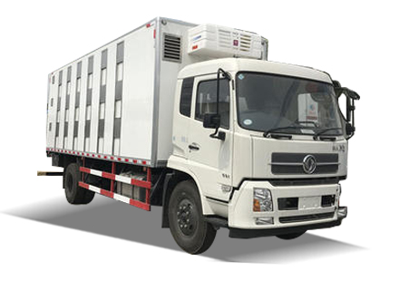 運豬車系列